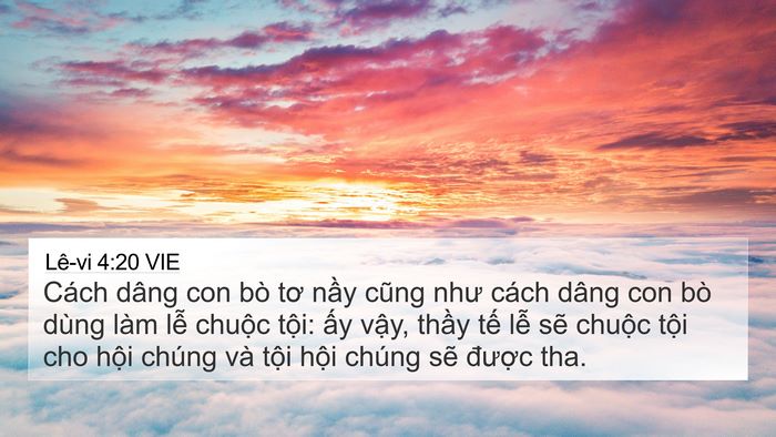 Lê-vi 4:20 VIE Bible Verse Image