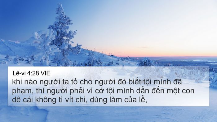 Lê-vi 4:28 VIE Bible Verse Image