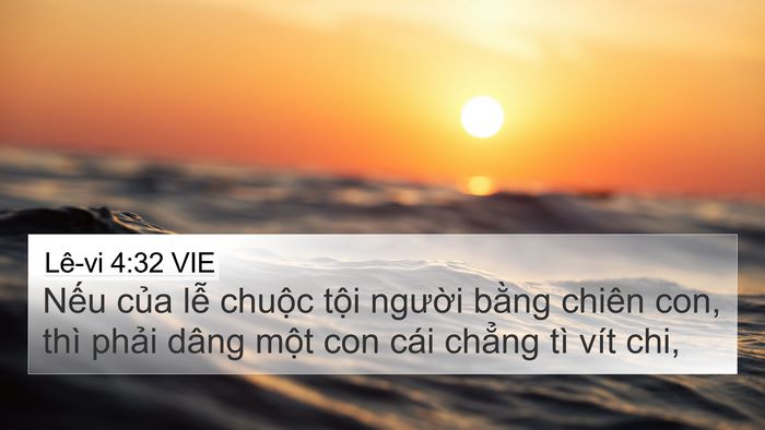 Lê-vi 4:32 VIE Bible Verse Image