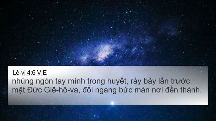 Lê-vi 4:6 VIE Bible Verse Image