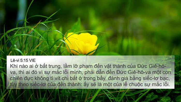 Lê-vi 5:15 VIE Bible Verse Image