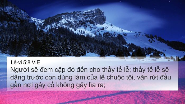 Lê-vi 5:8 VIE Bible Verse Image