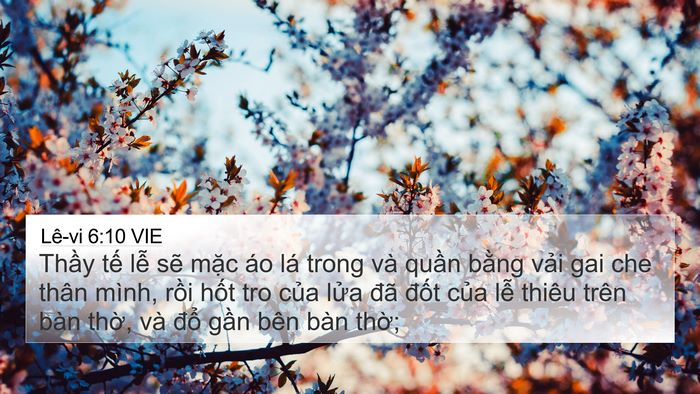Lê-vi 6:10 VIE Bible Verse Image