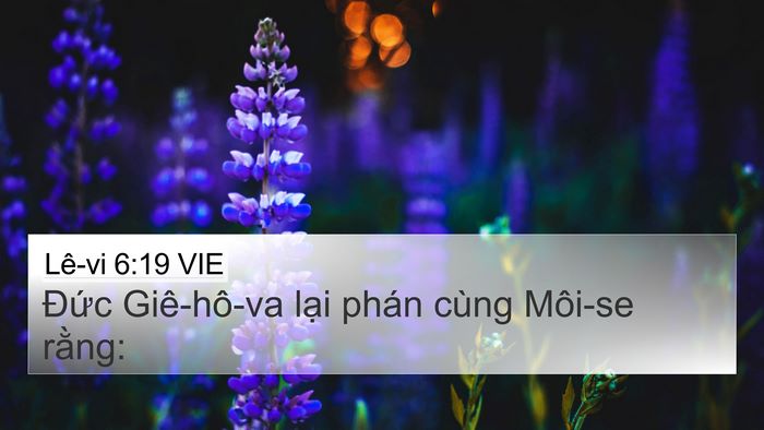 Lê-vi 6:19 VIE 4K Wallpaper - Đức Giê-hô-va lại phán cùng Môi-se - 4K Wallpaper Bible Verse