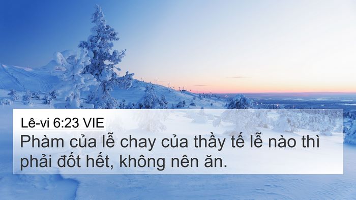 Lê-vi 6:23 VIE 4K Wallpaper - Phàm của lễ chay của thầy tế lễ nào - 4K Wallpaper Bible Verse