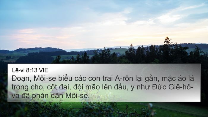 Lê-vi 8:13 VIE Bible Verse Image