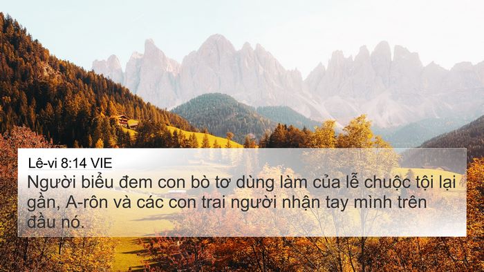 Lê-vi 8:14 VIE Bible Verse Image