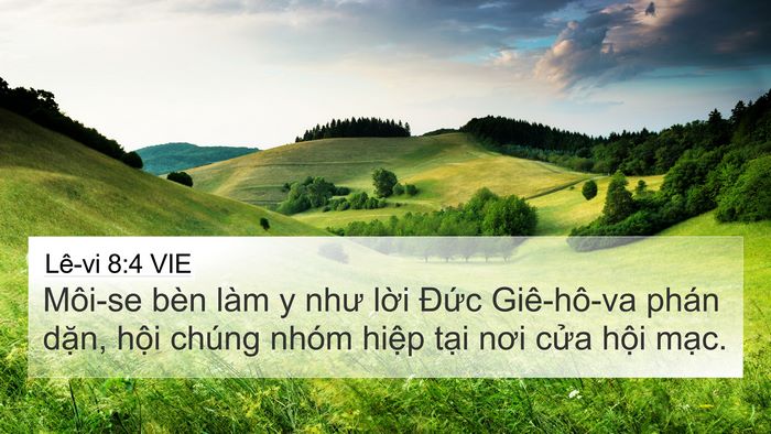 Lê-vi 8:4 VIE 4K Wallpaper - Môi-se bèn làm y như lời Đức Giê-hô-va - 4K Wallpaper Bible Verse