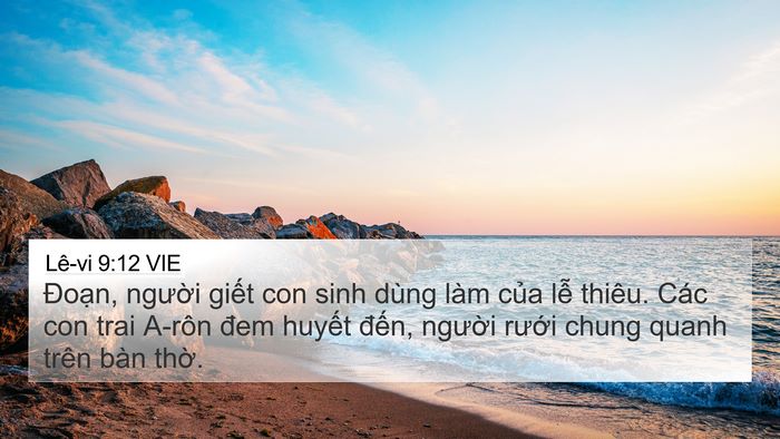 Lê-vi 9:12 VIE Bible Verse Image