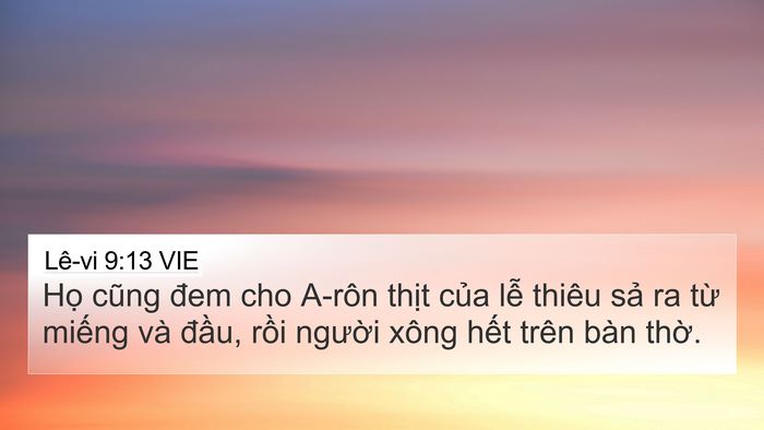 Lê-vi 9:13 VIE Bible Verse Image