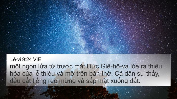 Lê-vi 9:24 VIE Bible Verse Image