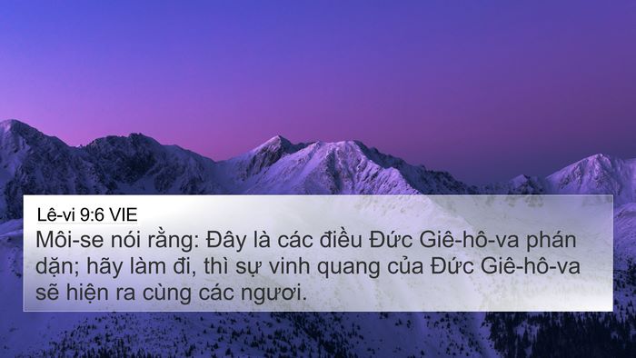 Lê-vi 9:6 VIE Bible Verse Image