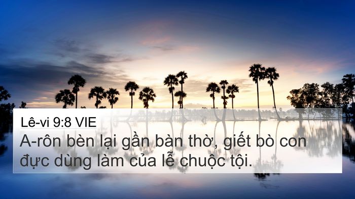 Lê-vi 9:8 VIE Bible Verse Image