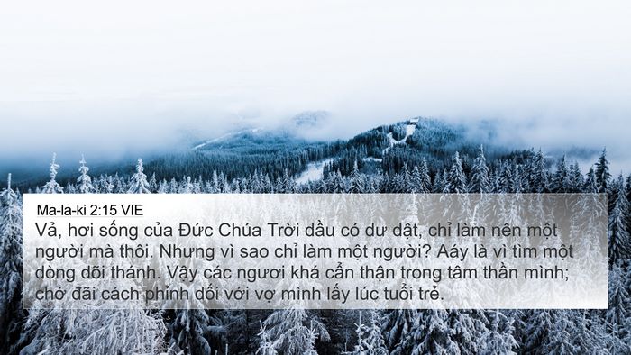 Ma-la-ki 2:15 VIE Bible Verse Image