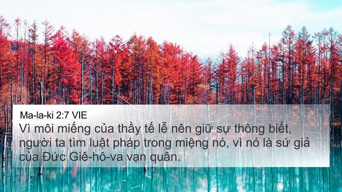 Ma-la-ki 2:7 VIE Bible Verse Image