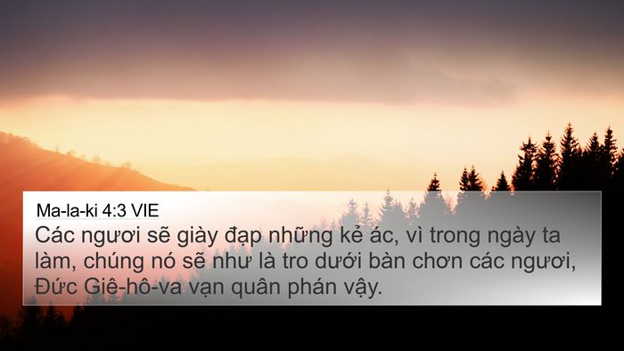 Ma-la-ki 4:3 VIE Bible Verse Image