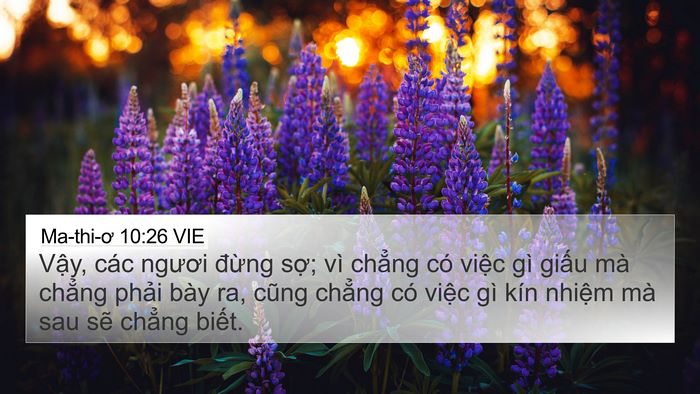 Ma-thi-ơ 10:26 VIE Bible Verse Image