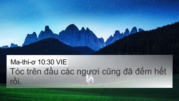 Ma-thi-ơ 10:30 VIE 4K Wallpaper - Tóc trên đầu các ngươi cũng đã đếm - 4K Wallpaper Bible Verse