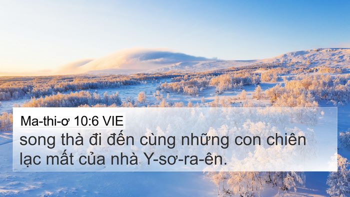 Ma-thi-ơ 10:6 VIE 4K Wallpaper - song thà đi đến cùng những con chiên - 4K Wallpaper Bible Verse