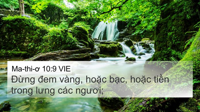 Ma-thi-ơ 10:9 VIE Bible Verse Image