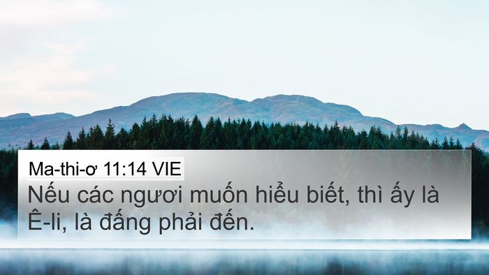 Ma-thi-ơ 11:14 VIE Bible Verse Image