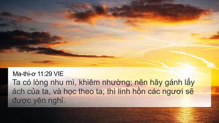 Ma-thi-ơ 11:29 VIE Bible Verse Image