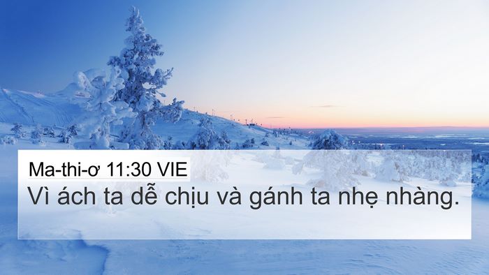 Ma-thi-ơ 11:30 VIE 4K Wallpaper - Vì ách ta dễ chịu và gánh ta nhẹ - 4K Wallpaper Bible Verse