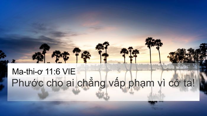 Ma-thi-ơ 11:6 VIE Bible Verse Image