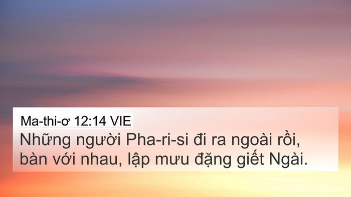 Ma-thi-ơ 12:14 VIE Bible Verse Image