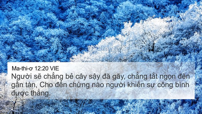 Ma-thi-ơ 12:20 VIE Bible Verse Image