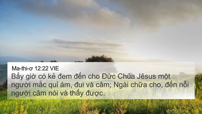 Ma-thi-ơ 12:22 VIE Bible Verse Image