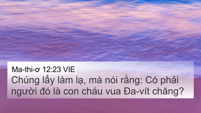 Ma-thi-ơ 12:23 VIE Bible Verse Image
