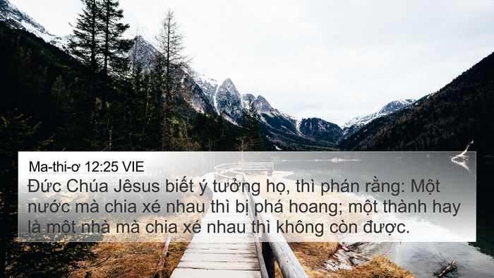 Ma-thi-ơ 12:25 VIE Bible Verse Image