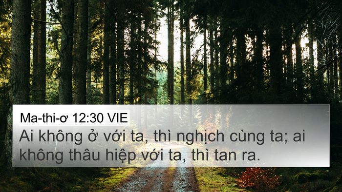 Ma-thi-ơ 12:30 VIE Bible Verse Image