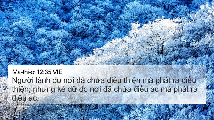 Ma-thi-ơ 12:35 VIE Bible Verse Image