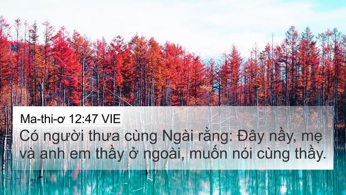 Ma-thi-ơ 12:47 VIE 4K Wallpaper - Có người thưa cùng Ngài rằng: Đây - 4K Wallpaper Bible Verse