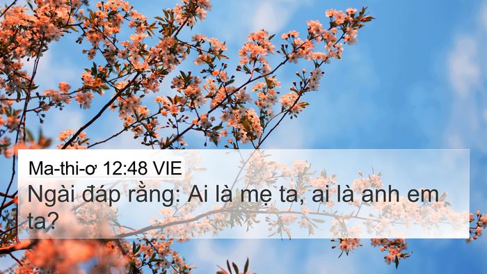 Ma-thi-ơ 12:48 VIE Bible Verse Image
