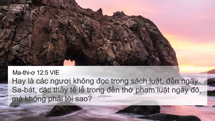 Ma-thi-ơ 12:5 VIE Bible Verse Image