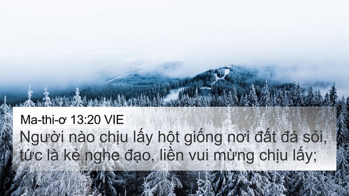 Ma-thi-ơ 13:20 VIE Bible Verse Image