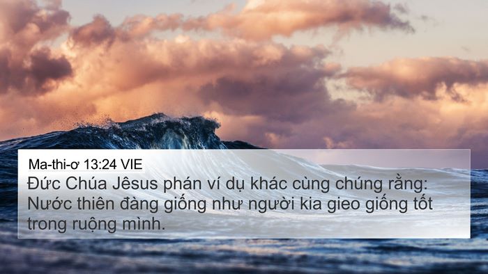 Ma-thi-ơ 13:24 VIE Bible Verse Image