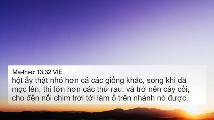 Ma-thi-ơ 13:32 VIE 4K Wallpaper - hột ấy thật nhỏ hơn cả các giống - 4K Wallpaper Bible Verse