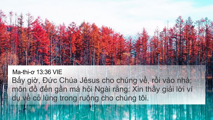 Ma-thi-ơ 13:36 VIE Bible Verse Image