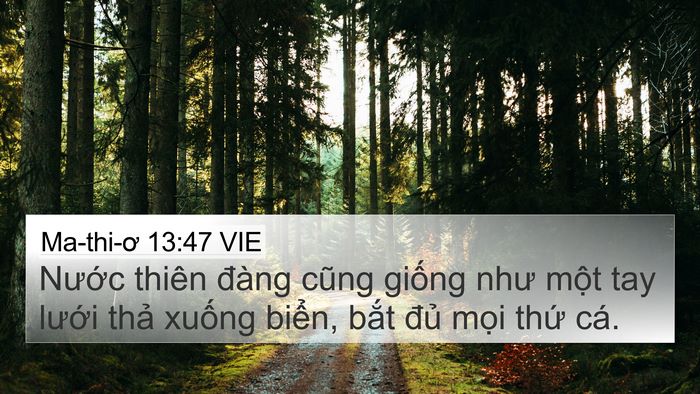 Ma-thi-ơ 13:47 VIE Bible Verse Image