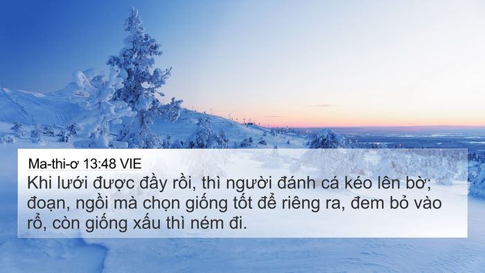 Ma-thi-ơ 13:48 VIE 4K Wallpaper - Khi lưới được đầy rồi, thì người - 4K Wallpaper Bible Verse