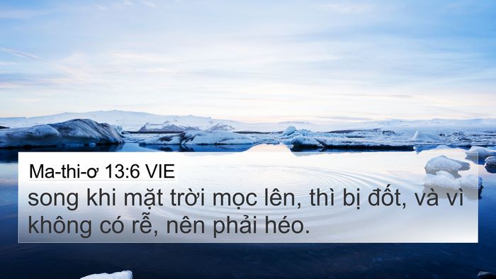 Ma-thi-ơ 13:6 VIE 4K Wallpaper - song khi mặt trời mọc lên, thì bị - 4K Wallpaper Bible Verse