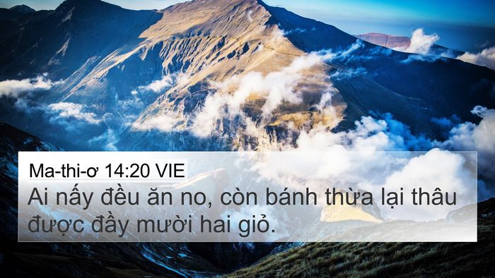 Ma-thi-ơ 14:20 VIE Bible Verse Image