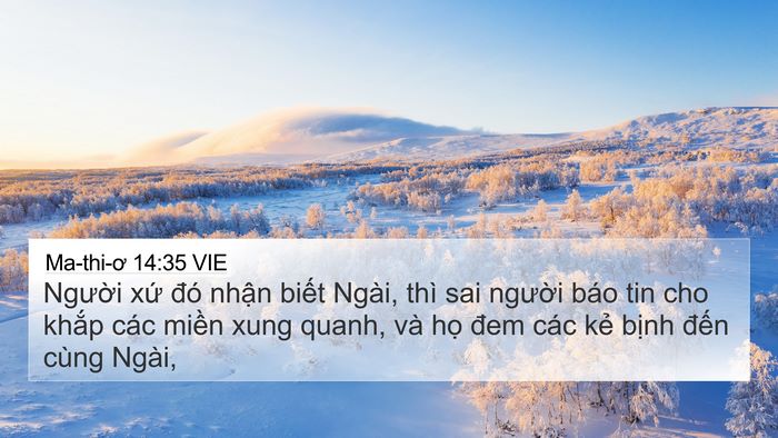 Ma-thi-ơ 14:35 VIE Bible Verse Image