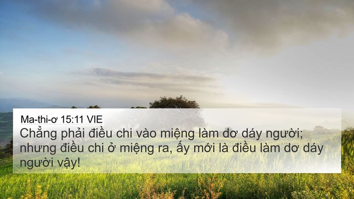 Ma-thi-ơ 15:11 VIE Bible Verse Image