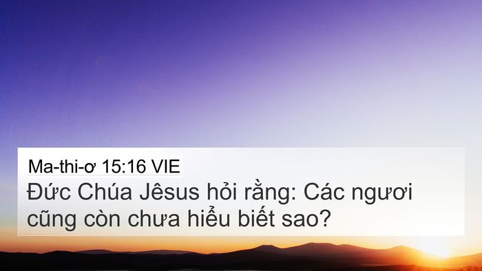 Ma-thi-ơ 15:16 VIE Bible Verse Image