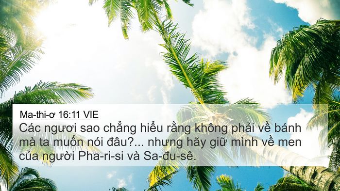 Ma-thi-ơ 16:11 VIE 4K Wallpaper - Các ngươi sao chẳng hiểu rằng không - 4K Wallpaper Bible Verse